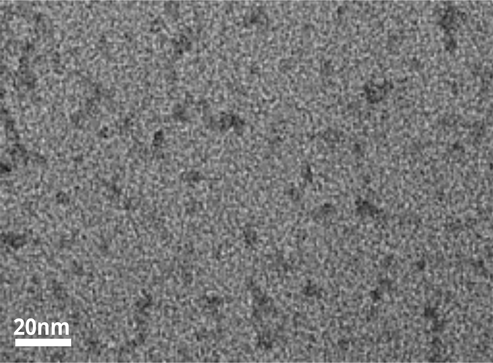 Abbildung 3: MgF<sub>2</sub>-Nanopartikel unter dem Elektronenmikroskop.